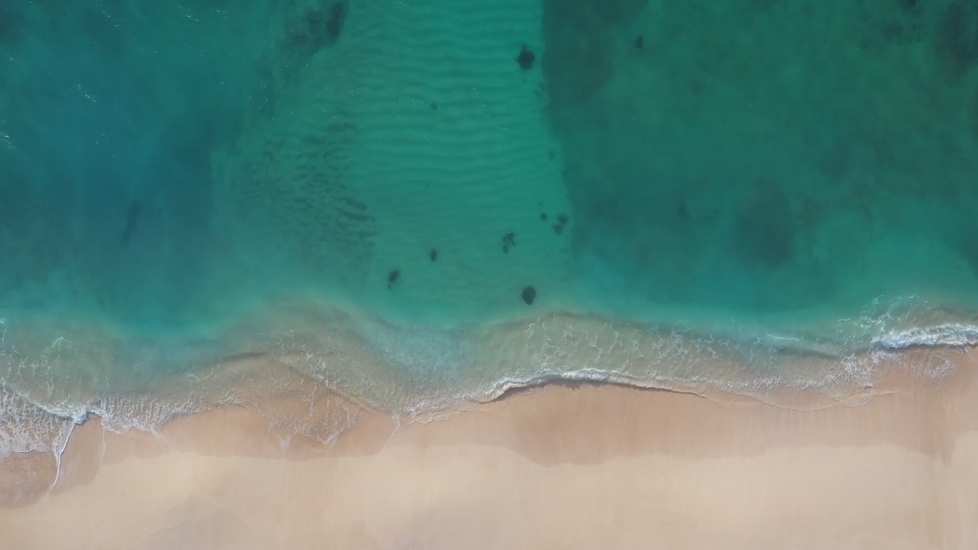 Tequila 9 hero video